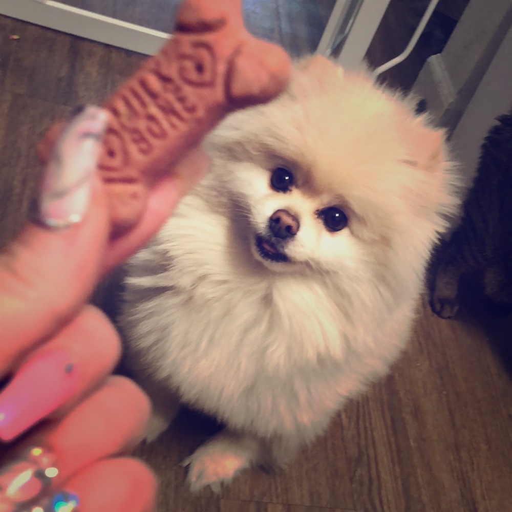 Meet your Posher, Brooke! 🌈👗